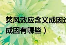 焚风效应含义成因过程（焚风效应是什么意思成因有哪些）