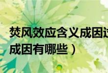 焚风效应含义成因过程（焚风效应是什么意思成因有哪些）