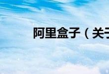 阿里盒子（关于阿里盒子的介绍）