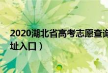 2020湖北省高考志愿查询入口（湖北2022高考志愿填报网址入口）