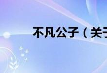 不凡公子（关于不凡公子的介绍）