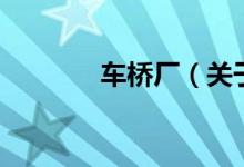 车桥厂（关于车桥厂的介绍）