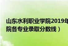 山东水利职业学院2019年分数线（2019年山东水利职业学院各专业录取分数线）