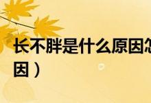 长不胖是什么原因怎么改善(长不胖是什么原因)