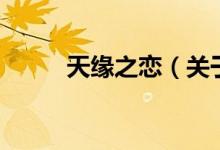 天缘之恋（关于天缘之恋的介绍）