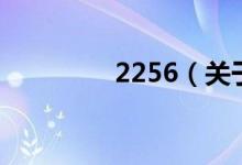 2256（关于2256的介绍）