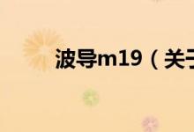 波导m19（关于波导m19的介绍）