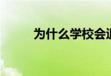 为什么学校会退档(原因有哪些)