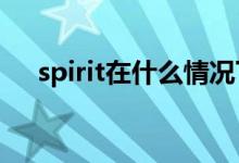 spirit在什么情况下加s（spirit可数吗）