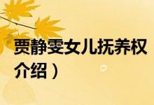 贾静雯女儿抚养权（关于贾静雯女儿抚养权的介绍）