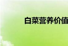 白菜营养价值（一起来了解下）