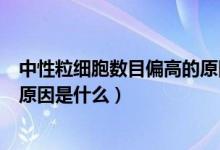 中性粒细胞数目偏高的原因是什么（中性粒细胞数目偏高的原因是什么）