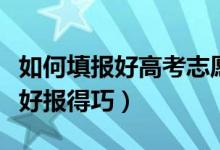 如何填报好高考志愿(高考志愿怎样才能填得好报得巧)