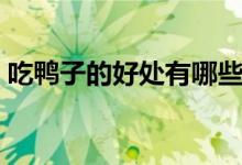 吃鸭子的好处有哪些（吃鸭子的好处和坏处）