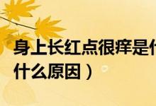 身上长红点很痒是什么病（身上长红点很痒是什么原因）