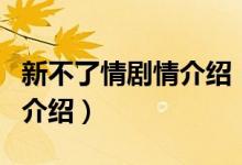 新不了情剧情介绍（关于新不了情剧情介绍的介绍）