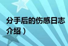 分手后的伤感日志（关于分手后的伤感日志的介绍）