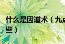 什么是因道术（九点领导力的主要内容包括哪些）