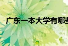 广东一本大学有哪些（广东一本大学盘点）