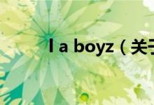l a boyz（关于l a boyz的介绍）