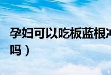孕妇可以吃板蓝根冲剂不（孕妇可以吃板蓝根吗）