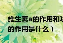 维生素a的作用和功效可以美白吗（维生素A的作用是什么）