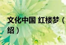 文化中国 红楼梦(关于文化中国 红楼梦的介绍)
