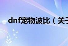 dnf宠物波比（关于dnf宠物波比的介绍）