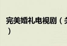 完美婚礼电视剧（关于完美婚礼电视剧的介绍）