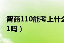 智商110能考上什么大学（智商110能考上211吗）