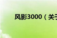 风影3000（关于风影3000的介绍）