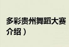 多彩贵州舞蹈大赛（关于多彩贵州舞蹈大赛的介绍）