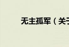无主孤军（关于无主孤军的介绍）