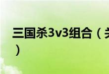三国杀3v3组合（关于三国杀3v3组合的介绍）