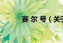 赛 尔 号（关于赛 尔 号的介绍）