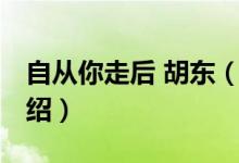 自从你走后 胡东（关于自从你走后 胡东的介绍）