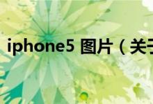 iphone5 图片（关于iphone5 图片的介绍）
