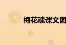梅花魂课文图片(梅花魂课文)