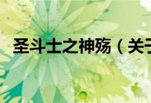 圣斗士之神殇（关于圣斗士之神殇的介绍）