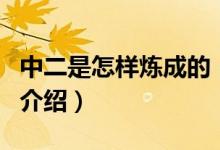 中二是怎样炼成的（关于中二是怎样炼成的的介绍）