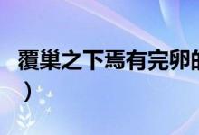 覆巢之下焉有完卵的故事（覆巢之下焉有完卵）