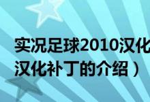 实况足球2010汉化补丁（关于实况足球2010汉化补丁的介绍）