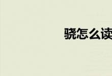 骁怎么读（骁怎么读）