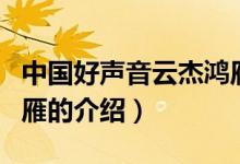 中国好声音云杰鸿雁（关于中国好声音云杰鸿雁的介绍）