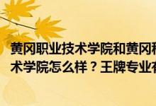 黄冈职业技术学院和黄冈科技职业学院（2022年黄冈职业技术学院怎么样？王牌专业有哪些？）