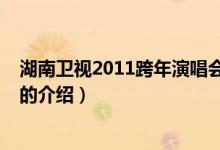 湖南卫视2011跨年演唱会（关于湖南卫视2011跨年演唱会的介绍）