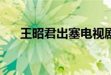 王昭君出塞电视剧46集（王昭君出塞）