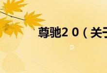 尊驰2 0（关于尊驰2 0的介绍）