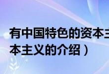 有中国特色的资本主义（关于有中国特色的资本主义的介绍）