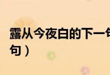 露从今夜白的下一句诗句（露从今夜白的下一句）